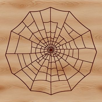 A delicate vector illustration of a spider web with intricate details.