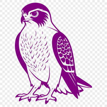 Illustrative falcon bird silhouette in vector format