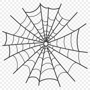 A high-resolution spider web design made from interconnected lines and nodes, suitable for commercial or personal use.