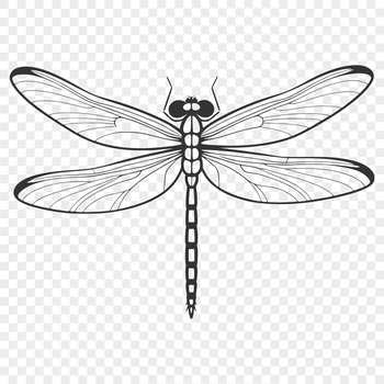 A detailed illustration of a dragonfly with iridescent wings.