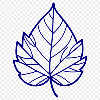 A stylized illustration of a single leaf with intricate details, suitable for digital and printable designs.