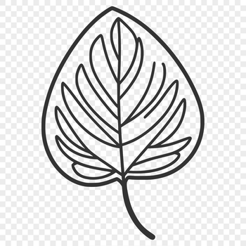 Vector illustration of a single green leaf with intricate details, suitable for graphic design projects.