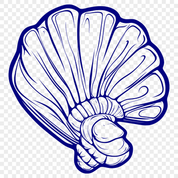 A stylized illustration of a seashell, designed as a vector graphic for digital use.