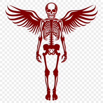 Unique Skeleton Image PDF - Free Download