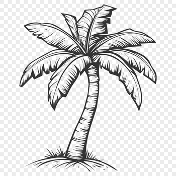 Palm tree illustration for vector design projects, suitable for Cricut cutting machine or laser cutter.