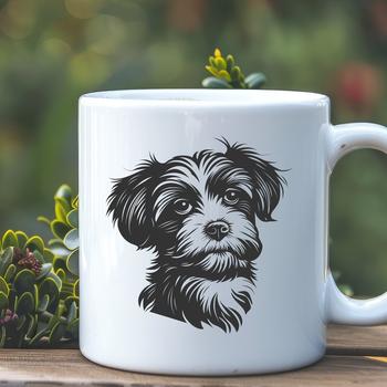 A small white dog breed with long fur, characterized by its curly coat and sweet expression.