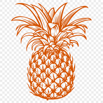 A tropical fruit with a prickly exterior and sweet interior.