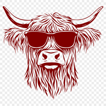 A black and white Highland cow with sunglasses on its head, suitable for vector design.