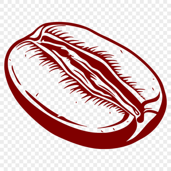 A single coffee bean in vector design format.