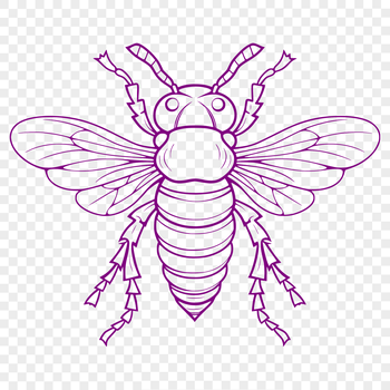 A detailed illustration of a bee in full body, suitable for vector design.