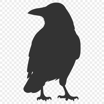 Illustration of a crow in silhouette form.