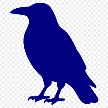 A black bird with a sharp beak and sleek feathers, commonly known as a crow.