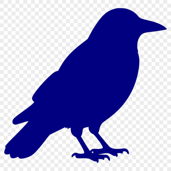 A black bird with a distinctive callow beak perched on a branch.