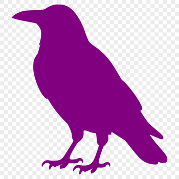 A detailed illustration of a crow in silhouette, suitable for cutting machine use.