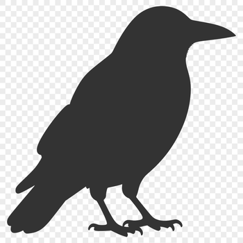 A detailed illustration of a crow perched on a branch, rendered as a vector graphic.