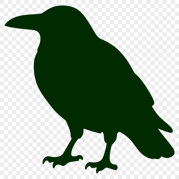 A crow is perched on a branch in silhouette form.