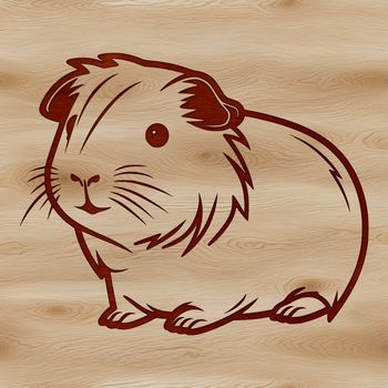 A simple line drawing of a guinea pig.