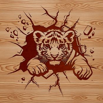A close-up illustration of a tiger's head, with the animal peeking out from behind something, conveying its wild nature.