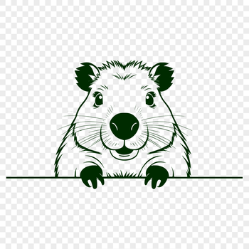 A detailed illustration of a capybara, the world's largest rodent species.