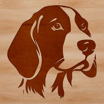 A beagle's head is depicted in a simple, illustrative style.