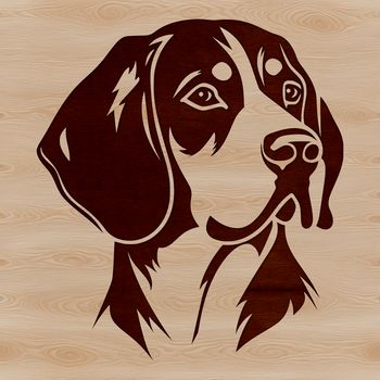 A detailed illustration of a beagle's head, suitable for digital use in various design projects.