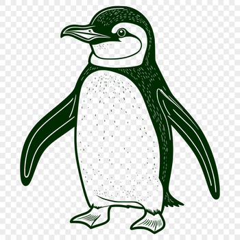 Vector design featuring a single penguin animal, suitable for digital use.