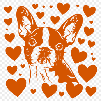 A vector illustration of a Boston Terrier with love hearts surrounding its head.