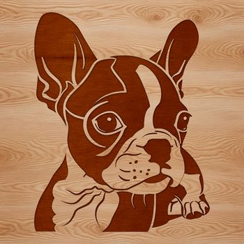 A vector illustration of a Boston Terrier's head, suitable for digital designs and cutting machine templates.