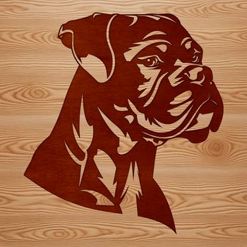 A high-quality vector illustration of a Boxer dog's head, suitable for various applications.