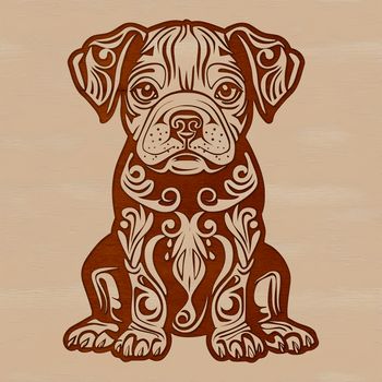 A sitting dog breed with a distinctive wrinkled face, popular as a pet companion.