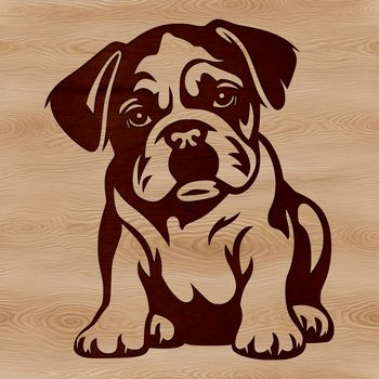 A sitting bulldog breed dog with wrinkled skin and a flat face.