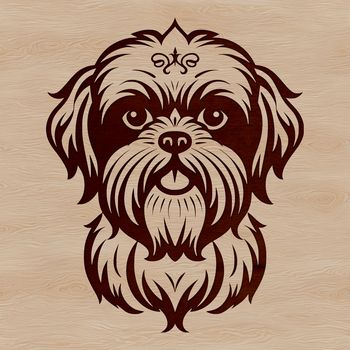 A small breed dog with a flat face and long coat.