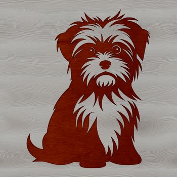 A small dog with a distinctive mix of Yorkshire Terrier and Maltese breeds sitting on its hind legs.