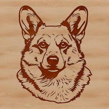 A stylized illustration of a corgi's head, suitable for vector art and cutting machine applications.