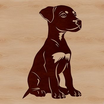 A vector illustration of a sitting Doberman Pinscher dog breed.