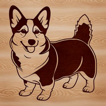A small breed dog standing on its hind legs, with a neutral expression.