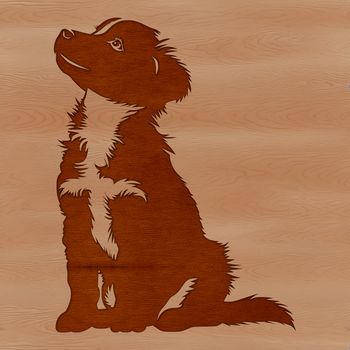 A sitting Australian Shepherd dog with a fluffy coat and wagging tail.