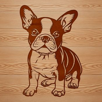 A sitting Boston Terrier dog breed illustration.