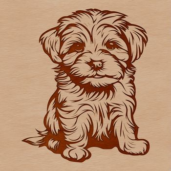 A small breed dog with long, curly fur sitting on its hind legs.