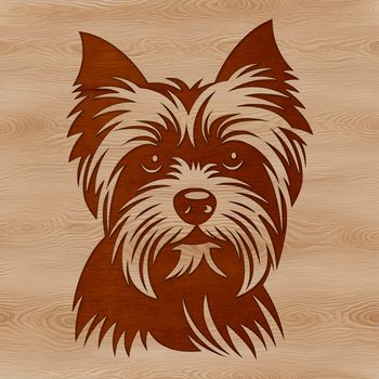 A small dog breed with a distinctive head shape and appearance.