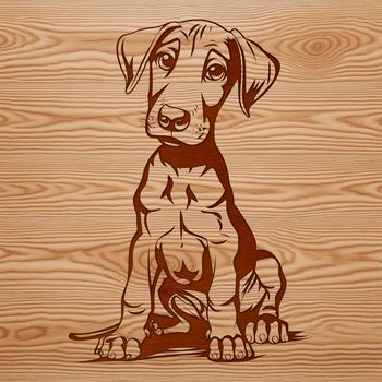 A high-quality vector illustration of a sitting Doberman Pinscher breed dog.