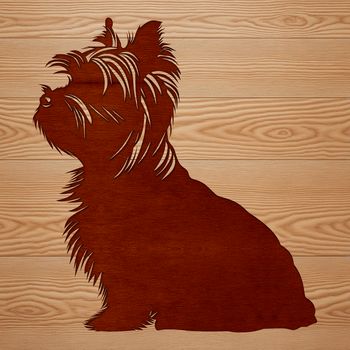 A sitting Yorkshire terrier breed dog.