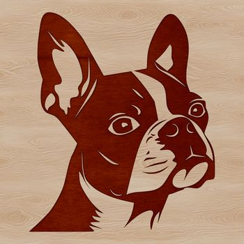 Simple line art design of a Boston Terrier's head and body.