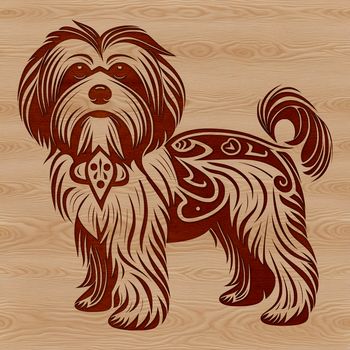 A small-sized, standing Havanese dog breed with a friendly expression.