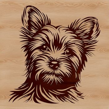 A detailed illustration of a small dog with a distinctive head shape and features.
