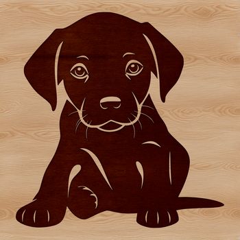 Close-up of a sitting Labrador Retriever dog with friendly facial expression.