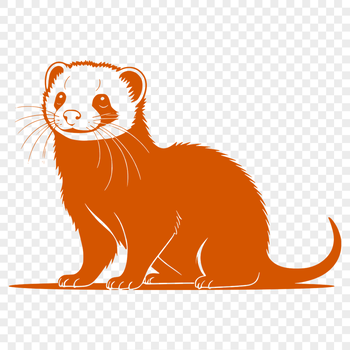 A detailed vector illustration of a ferret animal.