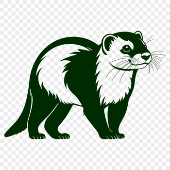 A high-quality vector illustration of a domesticated ferret animal.