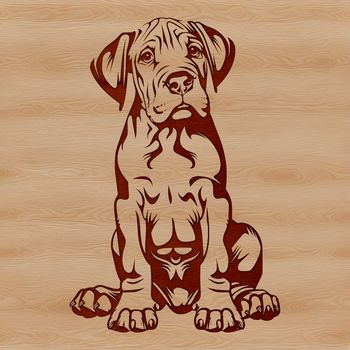 A detailed illustration of a sitting Great Dane dog with realistic features.