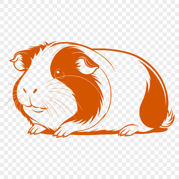 A digital illustration of a guinea pig, suitable for personal and commercial use in various design projects.